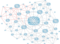 IE network